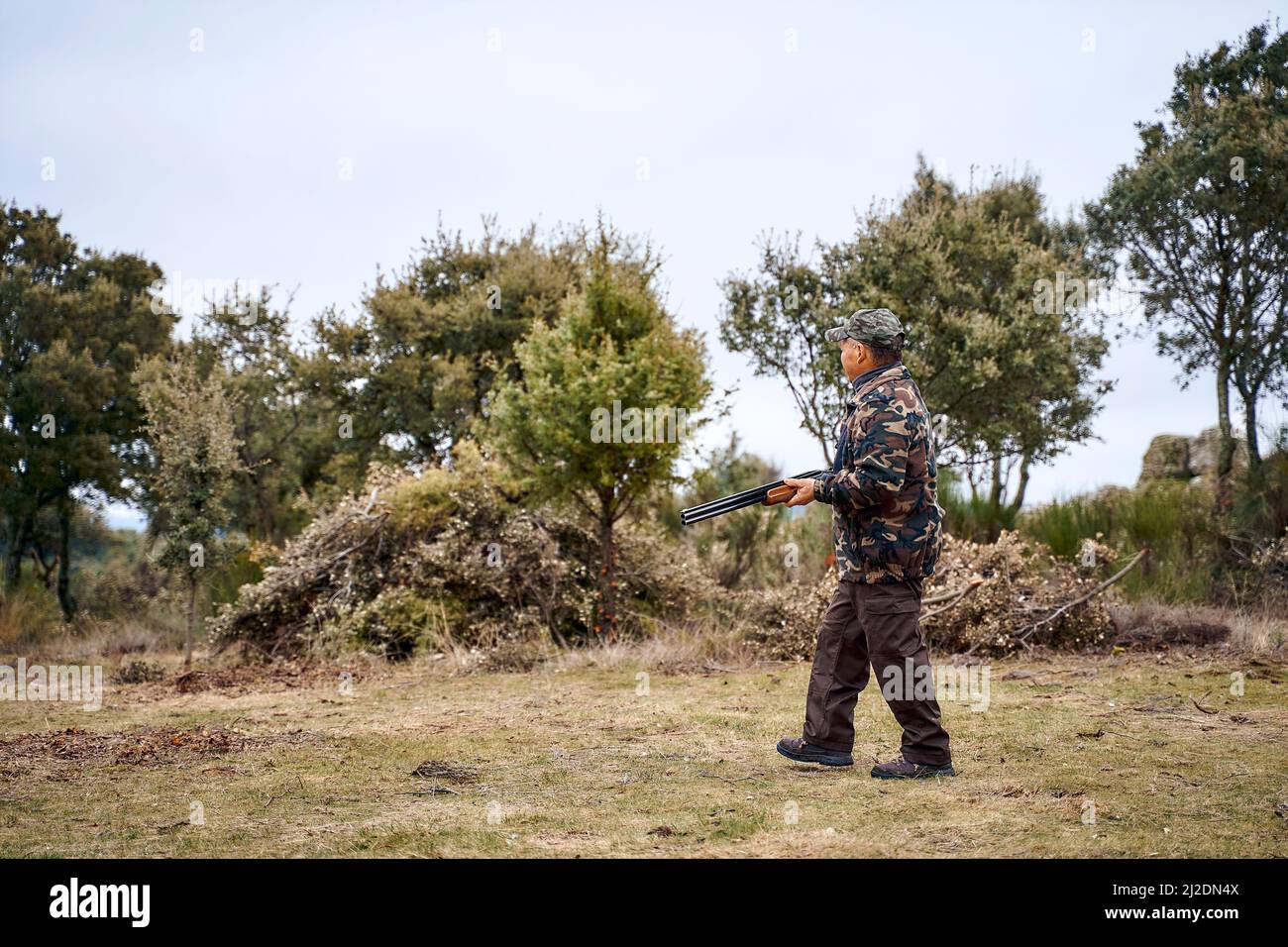 Cacciatore maschile in camouflage outerwear e cappellino che porta una pistola a piedi nel campo Foto Stock