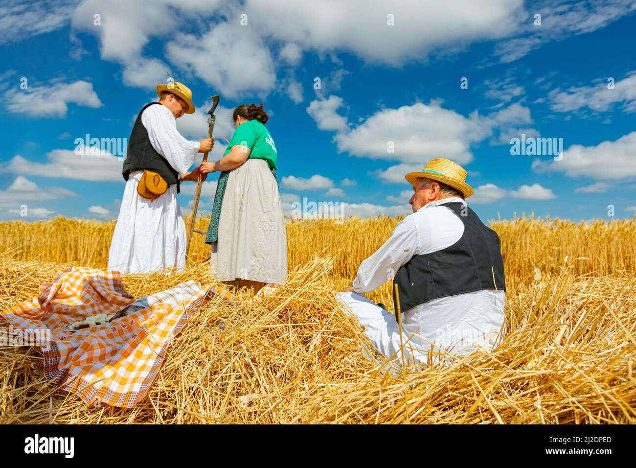 Muzlja, Vojvodina, Serbia, - 03 luglio 2021; XXXVIII tradizionalmente raccolto di grano. L'uomo e la donna legano la corda con una corda, la preparano per la raccolta Foto Stock
