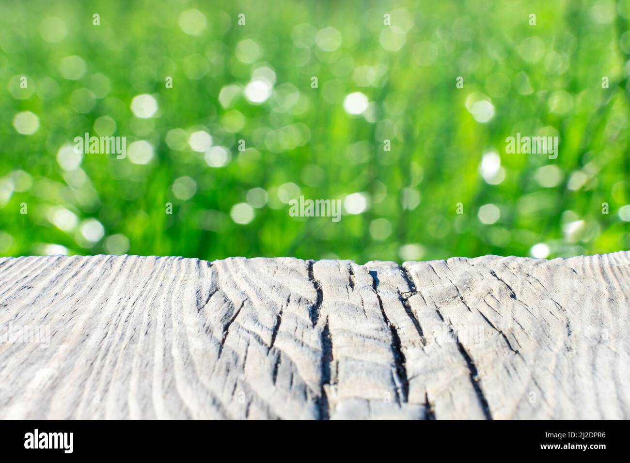 Vecchio asse di legno su uno sfondo sfumato verde frondoso. Luogo per il testo, base per le cartoline. Foto Stock