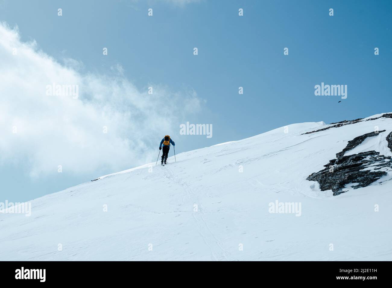 Uno sciatore di fondo in salita nelle Alpi svizzere Foto Stock