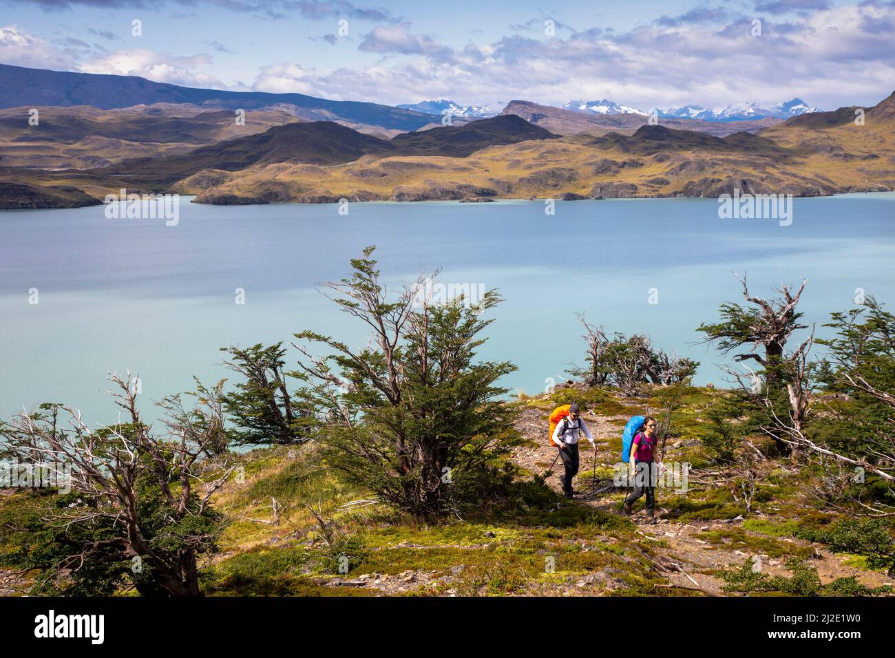 Cile, 20-01-2020, il secondo giorno del W-Trek nel parco delle Torres del Paine mostra i monti Los Cuernos e il lago Nordenskjold. Foto Stock