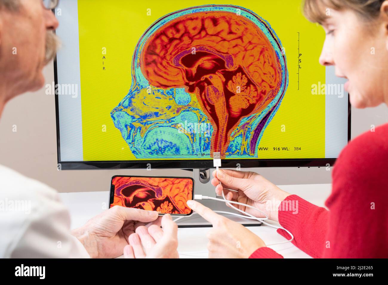 Futuro cervello sistema nervoso centrale Foto Stock