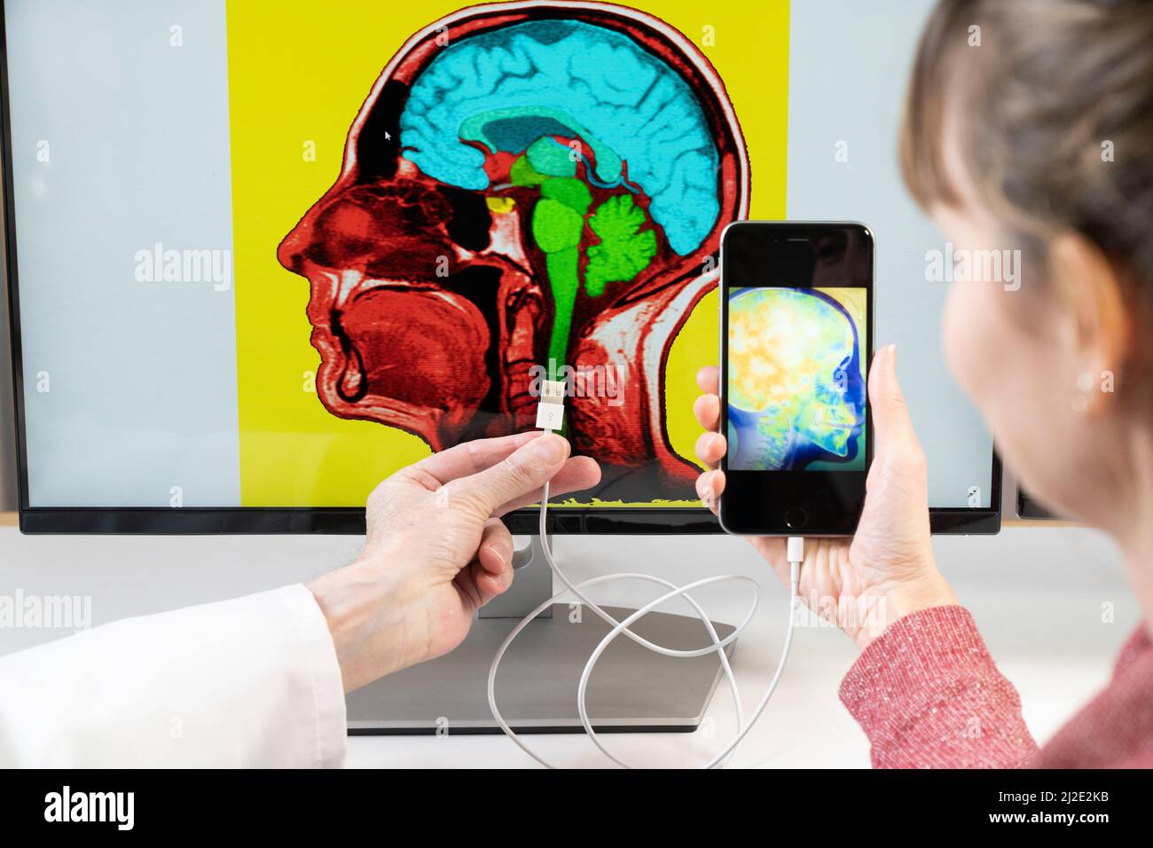 Cervello connesso allo smartphone Foto Stock