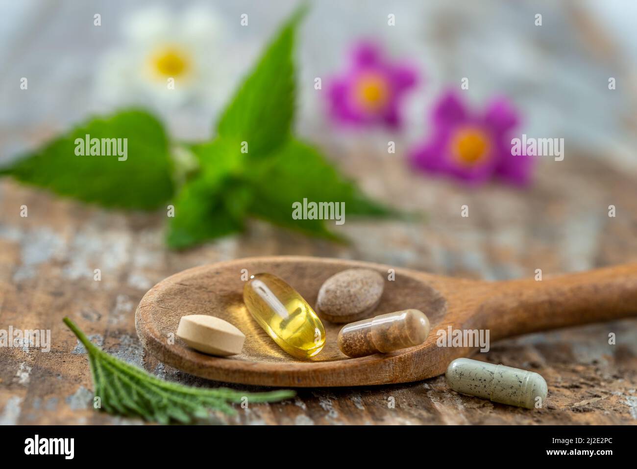 Cucchiaio di legno di alimenti suplements medicina sana medicina cura della salute trattamento additivi farmacia con piante fresche medicinali sullo sfondo Foto Stock