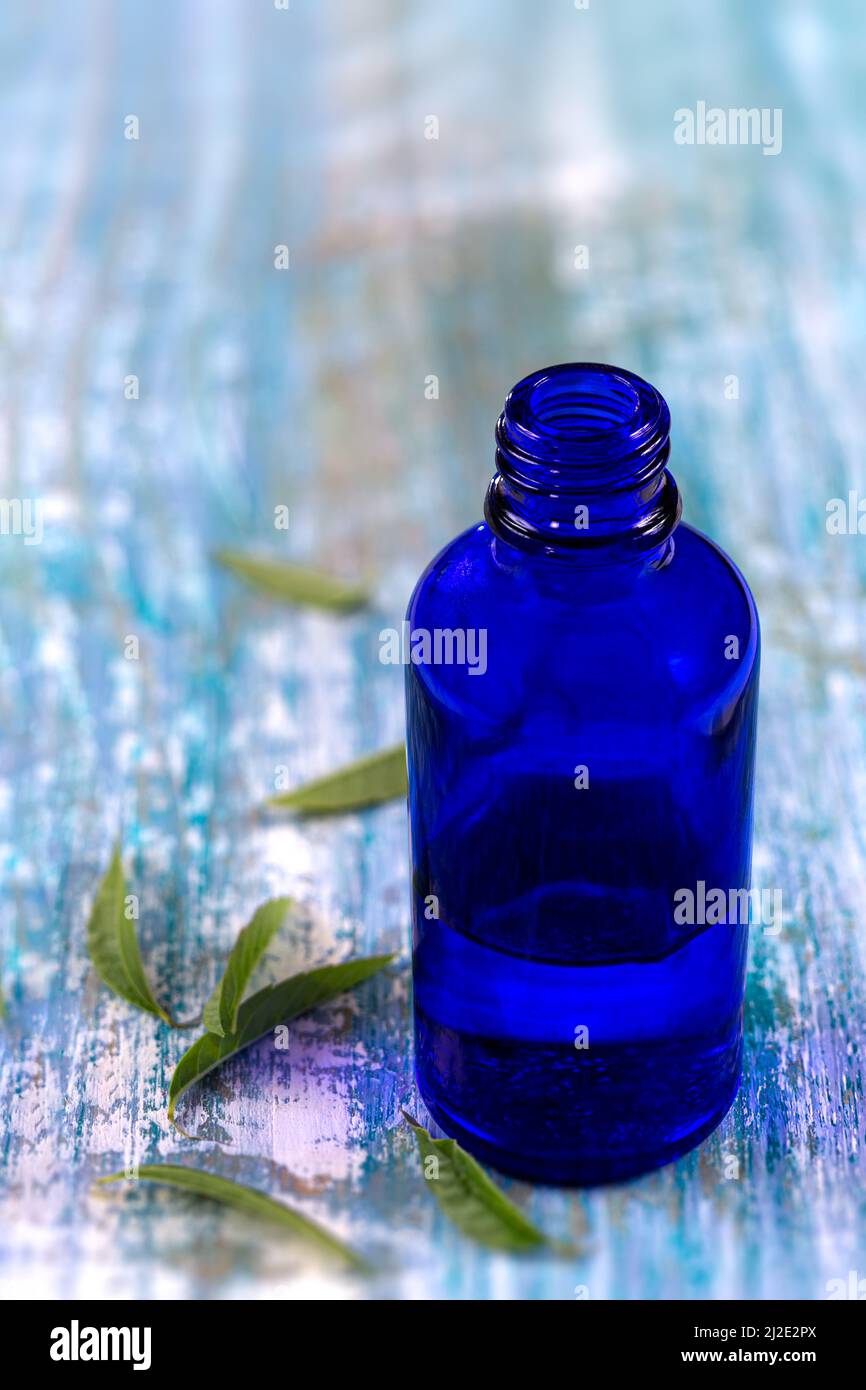 Olio essenziale di verbena al limone e foglie sul bordo blu bosodenld. Vetro, fresco Foto Stock