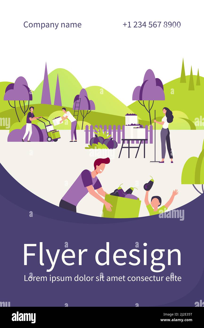 Coltivatori che raccolgono raccolto in giardino isolato piatto vettore illustrazione. Stagione autunnale, frutta in cassa e persone in piantagione. Agricoltura e azienda agricola con Illustrazione Vettoriale