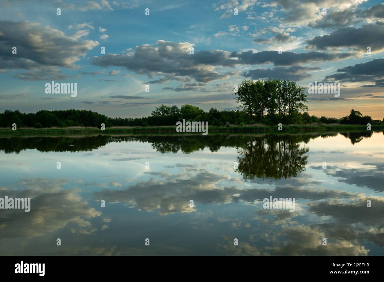 Riflesso delle nuvole nell'acqua e degli alberi all'orizzonte, Stankow, Polonia Foto Stock