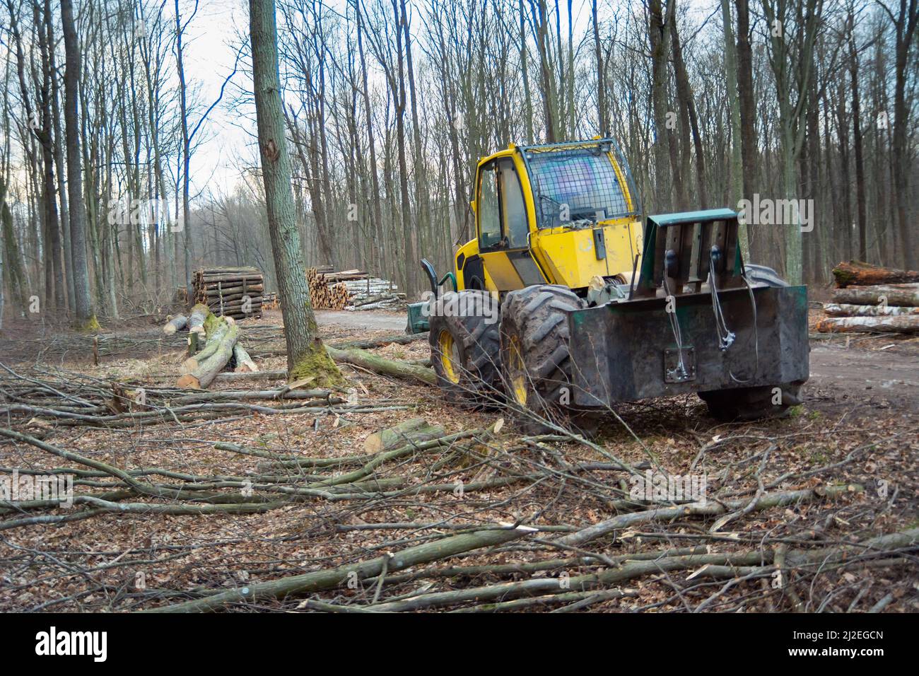 Trattore giallo ad alta potenza con verricello a fune in piedi nella foresta Foto Stock