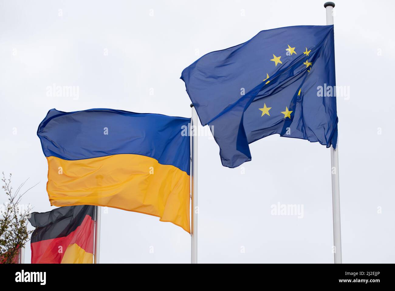 Bandiera Della Germania, 20 X 30 Cm. Peso Del Tessuto: Stampato, Resistente, Con Maglia E Passante, Bandiera Nautica, 20 X 30 Cm (Germania - Foto 9