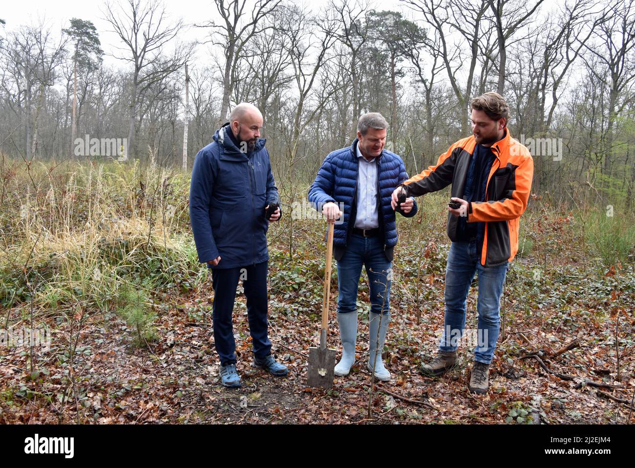 Colonia, Germania. 31st Mar 2022. Thilo Schmid, amministratore delegato dell'aeroporto di Colonia/Bonn, l-r, amministratore delegato di Eurowings, Jens Bischof e Jan Borchert. Chi ha fondato il progetto di lancio del green planted per piantare 6.000 alberi nella riserva naturale Königsforst di Colonia. Questa iniziativa sostiene il rimboschimento locale nella riserva naturale di Colonia credito: Horst Galuschka/dpa/Alamy Live News Foto Stock