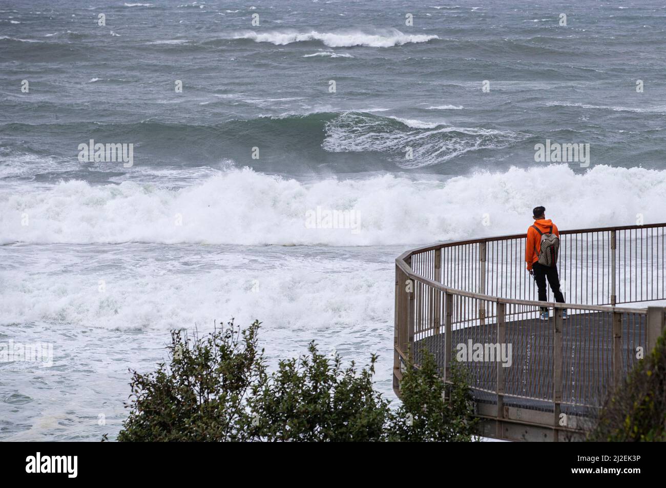 Sydney. 1st Apr 2022. Foto scattata il 1 aprile 2022 mostra forti onde a Bondi Beach a Sydney, Australia. Il tempo selvaggio che ha affondato l'est dell'Australia per settimane continua con i venti della forza di balla attesi lungo la costa dello stato del nuovo Galles del Sud (NSW), compresa la più grande città della nazione di Sydney, il venerdì. Credit: Bai Xuefei/Xinhua/Alamy Live News Foto Stock