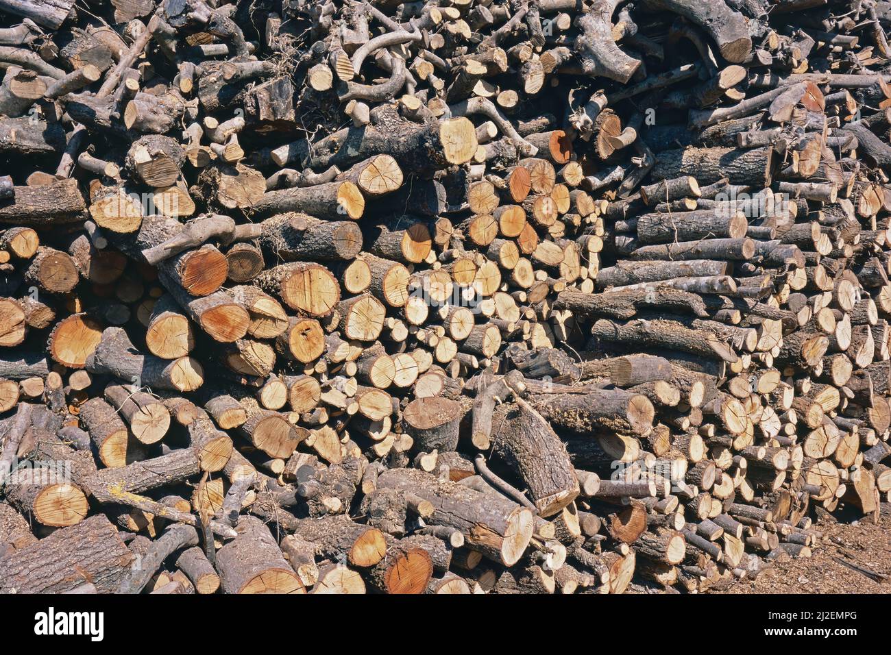 legname, molti tronchi e rami segato e accatastato all'aperto Foto Stock