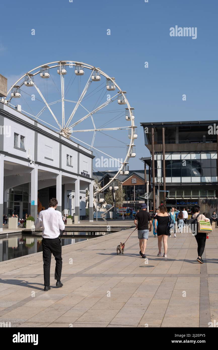 Vista a Millennium Square, Bristol, Regno Unito, con la gente e con la ruota Bristol sullo sfondo. Foto Stock