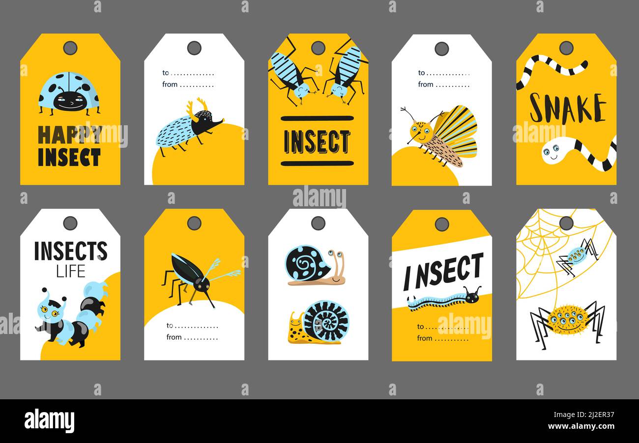 Disegni speciali di tag con insetti felici. Divertente ladybug, scarafaggio, ragno, lumaca su sfondo vivace. Concetto di fauna e fauna. Modello Illustrazione Vettoriale