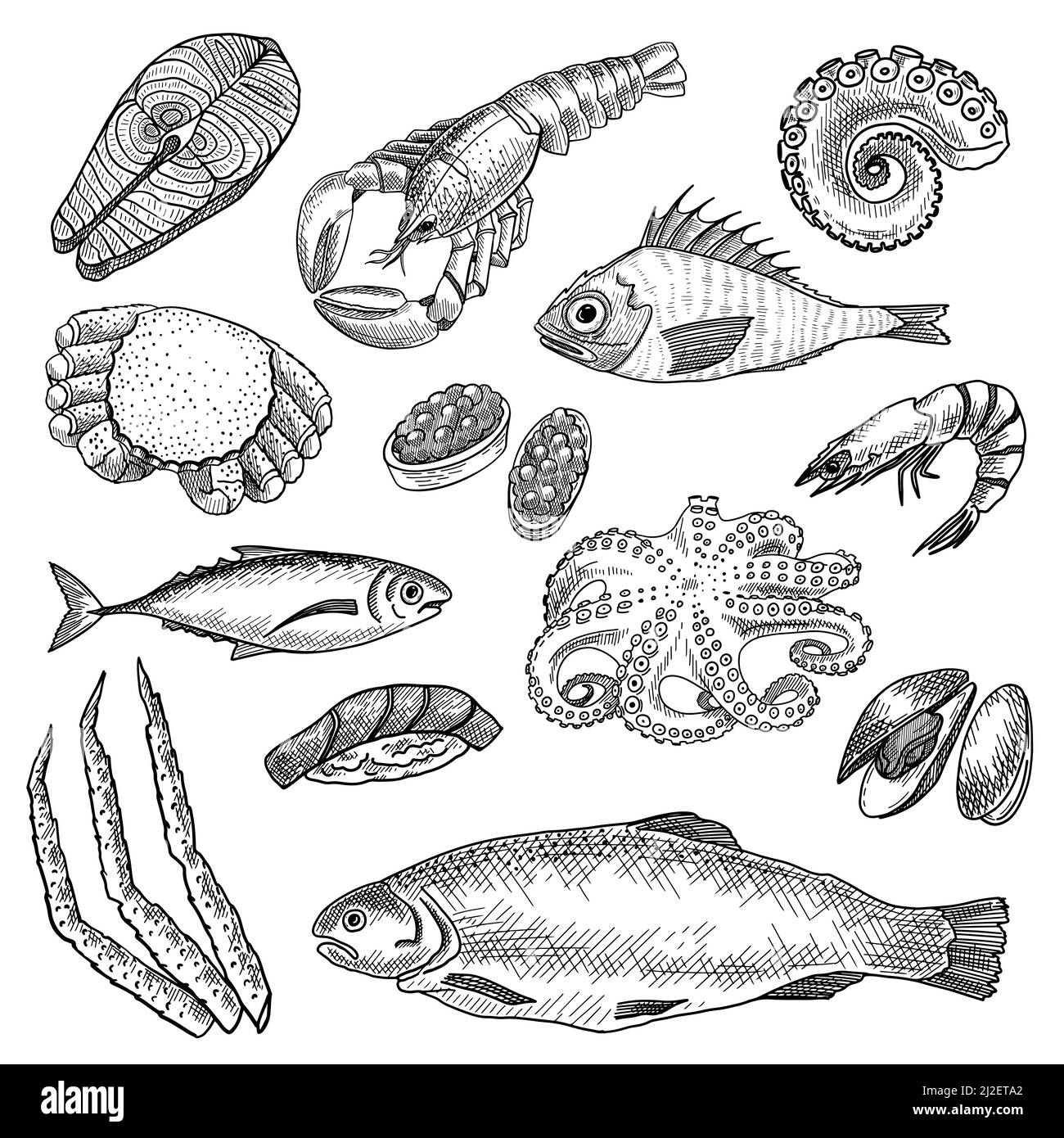 Set di schizzi di pesce. Polpo, aragosta, gamberi, salmone, ostriche, tonno. Illustrazione vettoriale incisa per ingredienti della cucina giapponese, freschi o Illustrazione Vettoriale