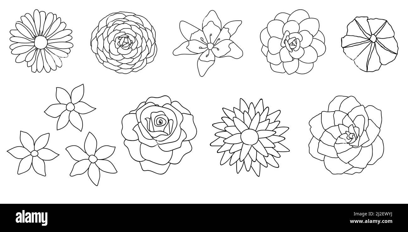 Illustrazione dei fiori su sfondo bianco. Illustrazione vettoriale. Illustrazione Vettoriale