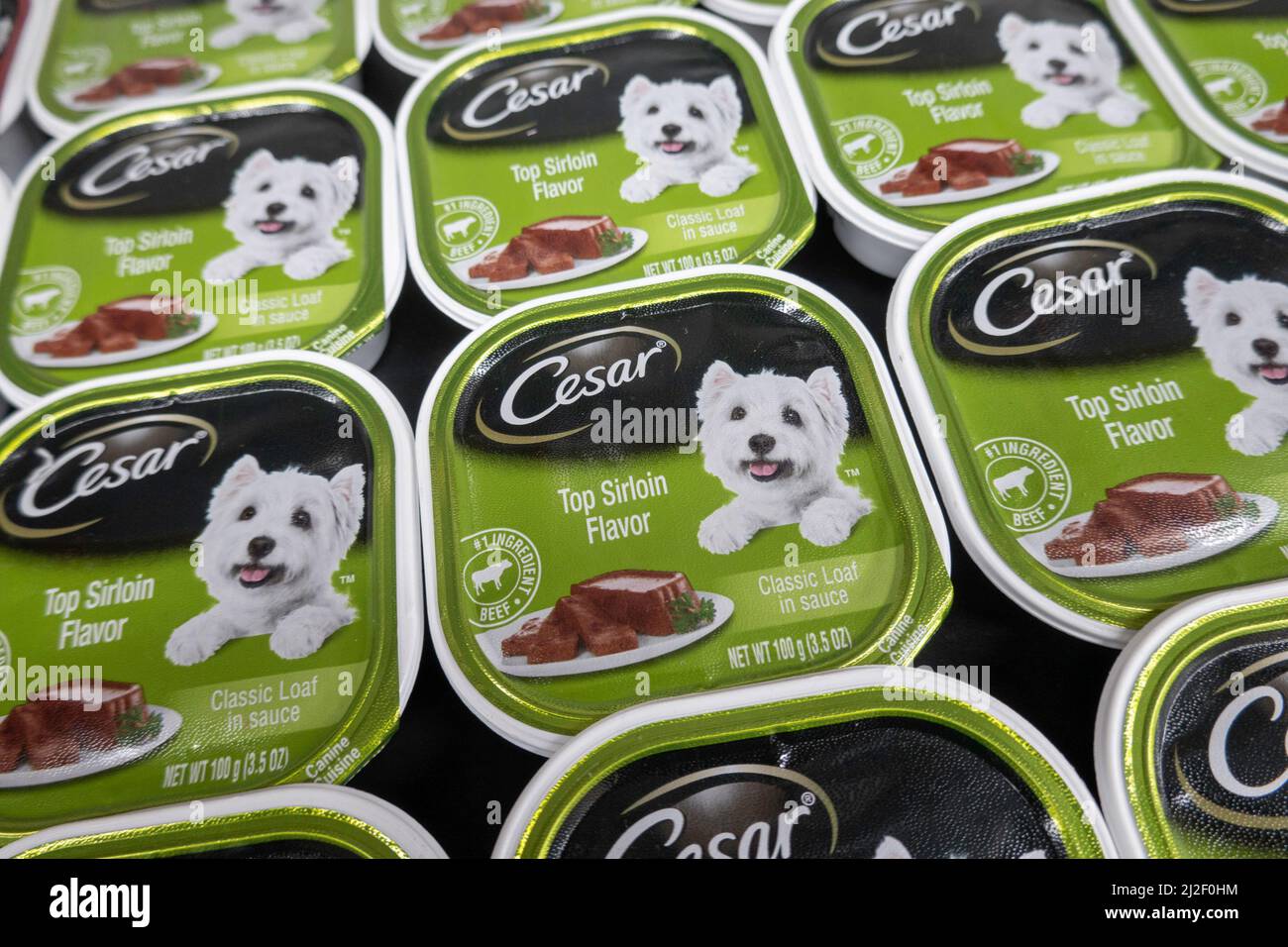 Cesar piccola razza gourmet cane cibo tini, Stati Uniti Foto Stock