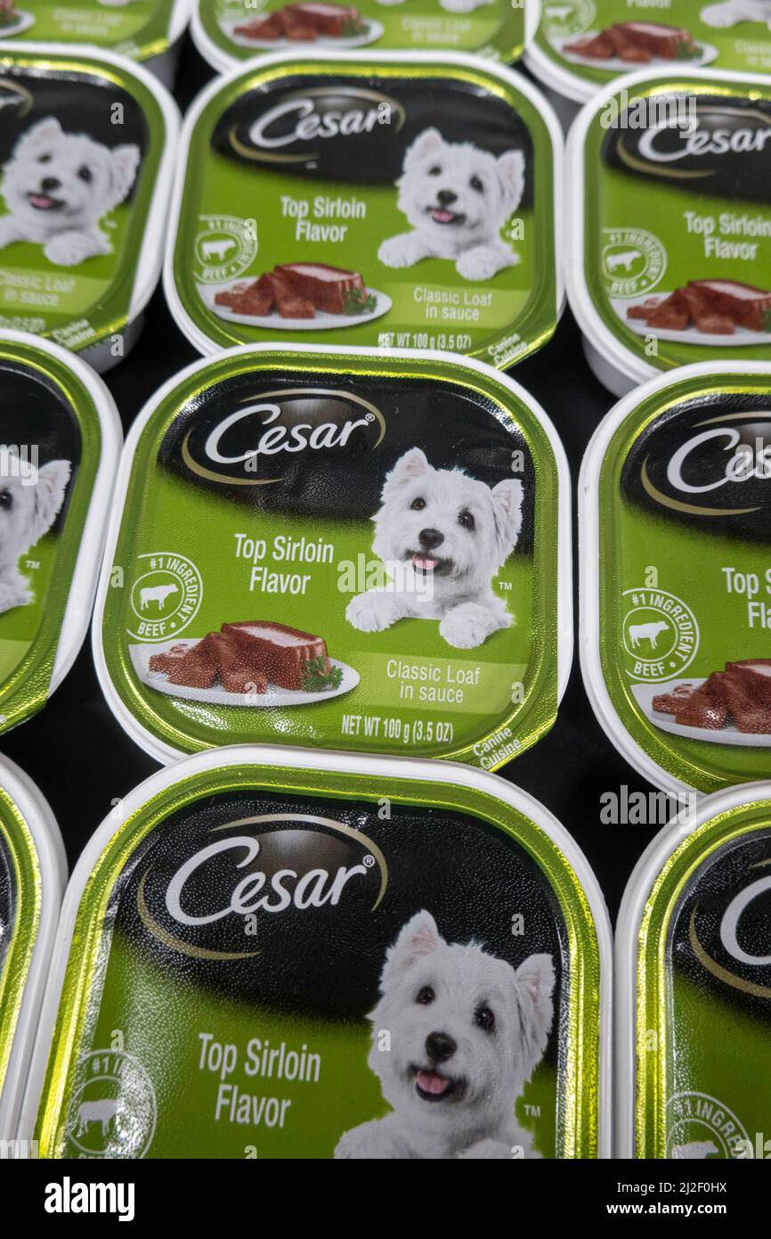 Cesar piccola razza gourmet cane cibo tini, Stati Uniti Foto Stock