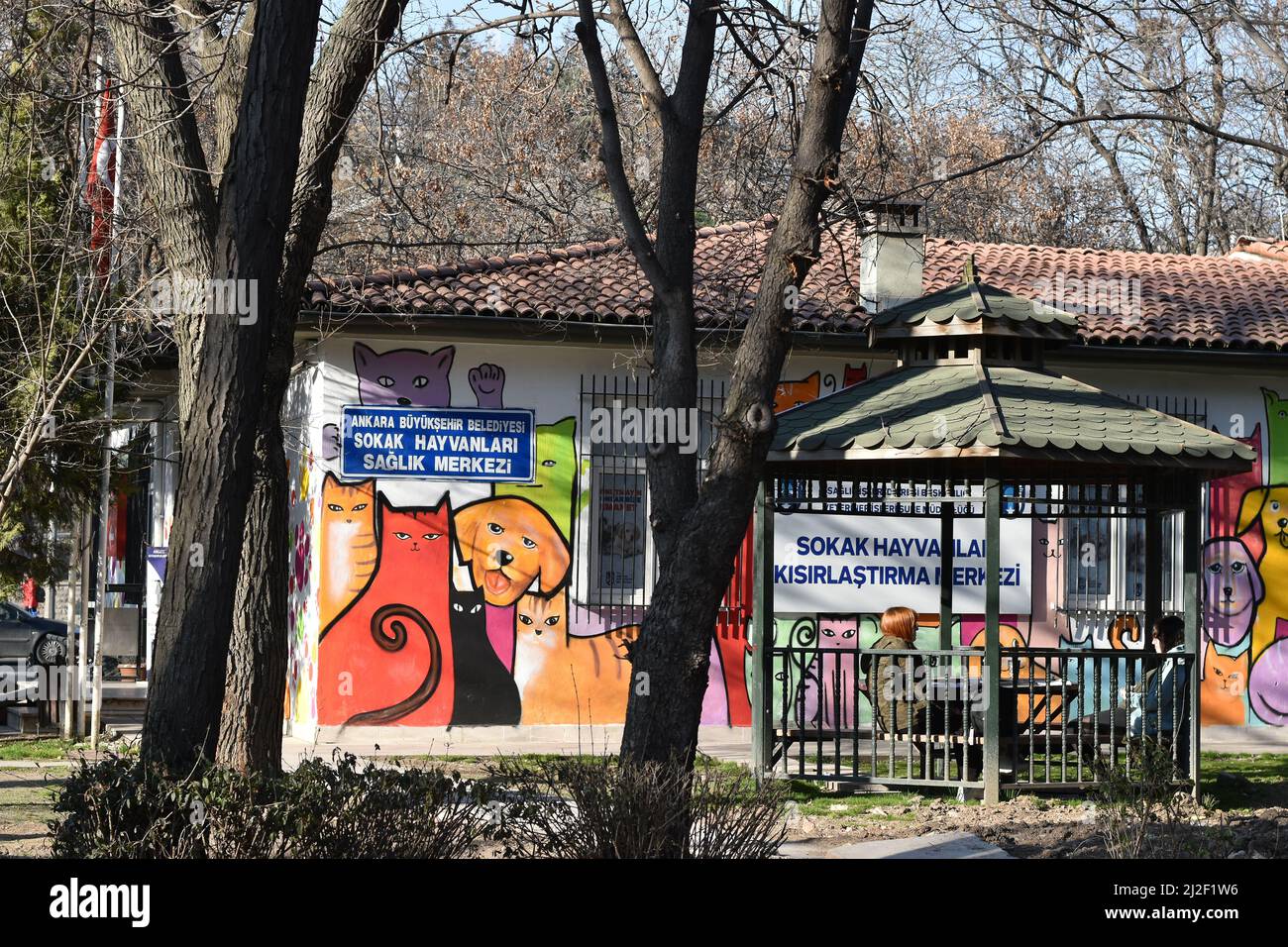 Murale con gatti e cani sul muro di una clinica veterinaria per animali di strada a Kurtulus Park, Central Ankara Foto Stock