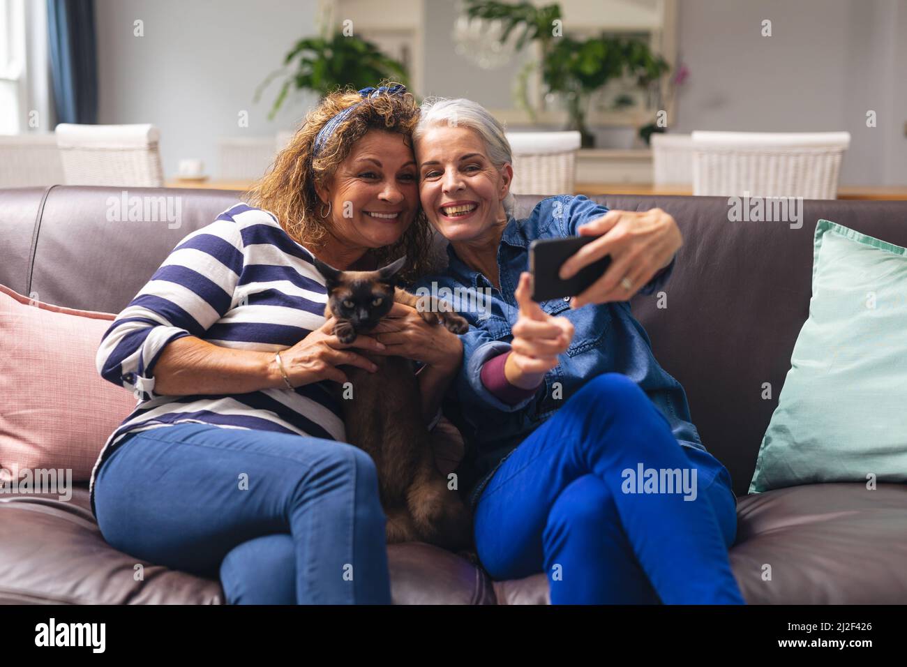 Felice caucasico anziano donne amici prendere selfie con gatto mentre si siede sul divano a casa Foto Stock