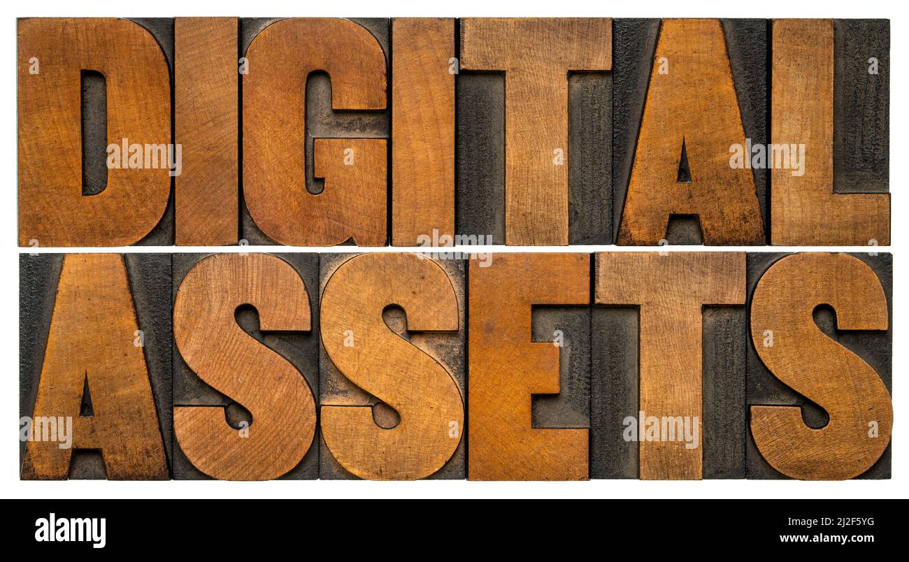 digital assets - abstract parola isolata nel tipo di legno della tipografa d'annata, informazioni, concetto di business e tecnologia. Foto Stock