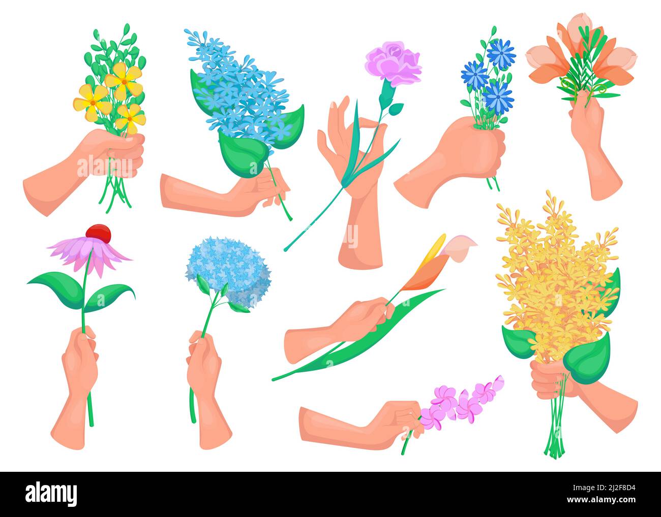 Mani di donne che tengono fiori primaverili, rametti con fiori, bocce in fiore isolate su bianco. Illustrazioni vettoriali per fioraio, natura, inter Illustrazione Vettoriale