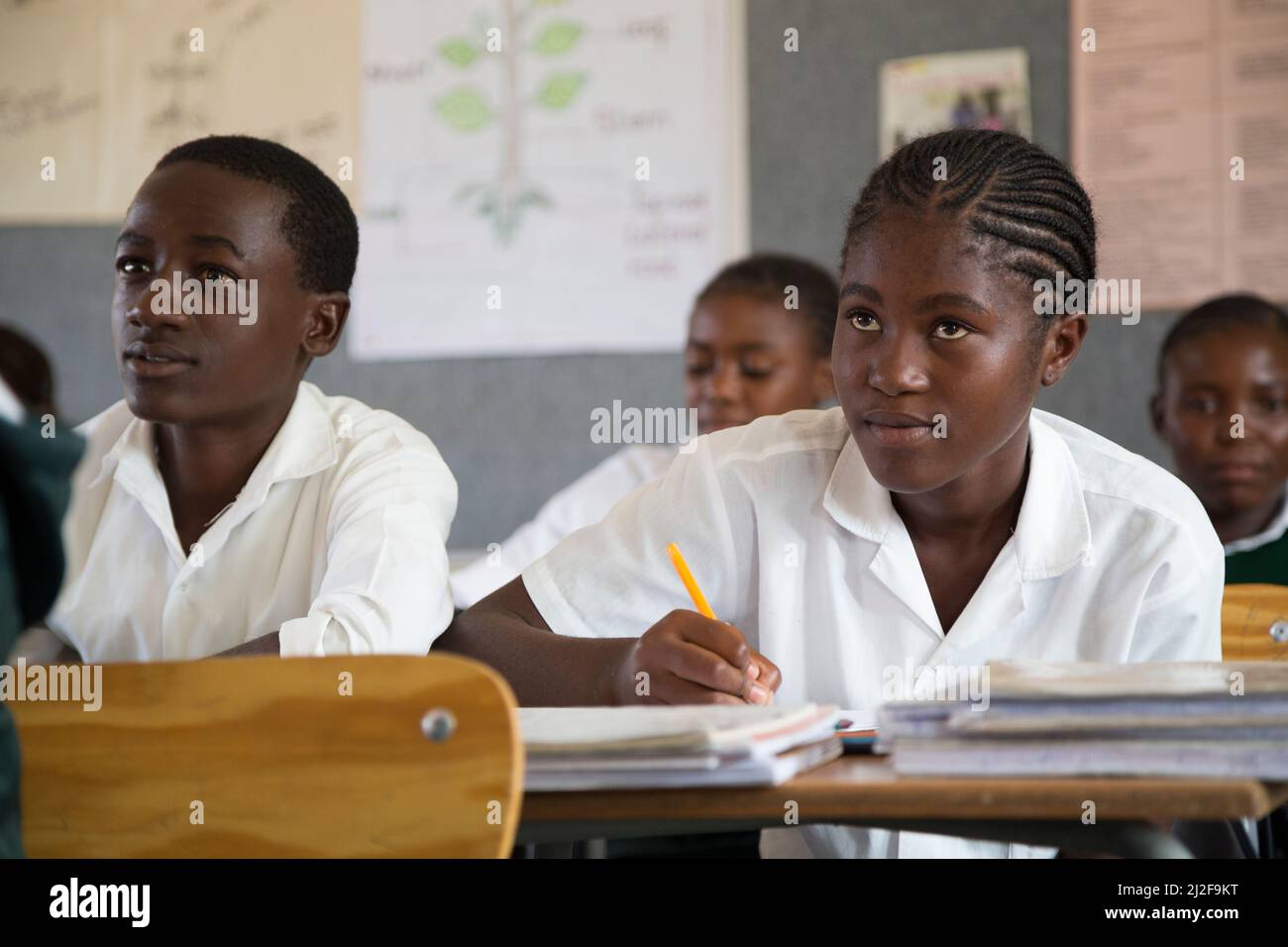 Studenti delle scuole secondarie che imparano a studiare in classe nella regione di Oshana, Namibia, Africa meridionale. Foto Stock