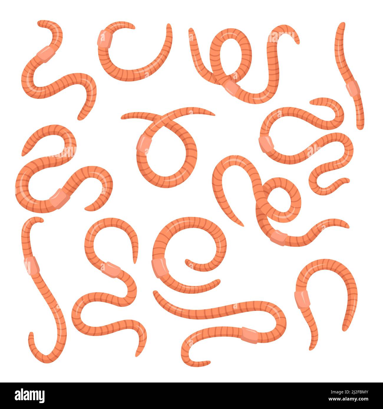 Set di vermi rosa cartoon. Covata torbida o lombrichi isolati su bianco. Illustrazione vettoriale per suolo, natura, fauna selvatica, pesca, dis elmintico Illustrazione Vettoriale