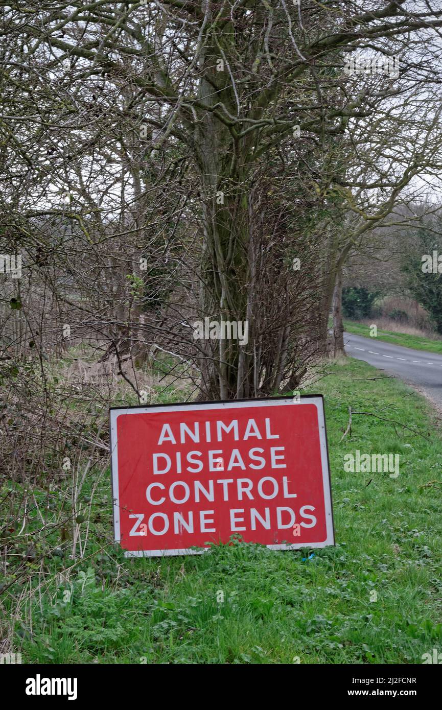 Cartello stradale che segnala l'uscita da una zona infetta da una malattia animale soggetta a denuncia, come l'influenza di uccelli. Foto Stock Cartello stradale che segnala l'uscita da una zona infetta da una malattia animale soggetta a denuncia, come l'influenza di uccelli. Foto Stock