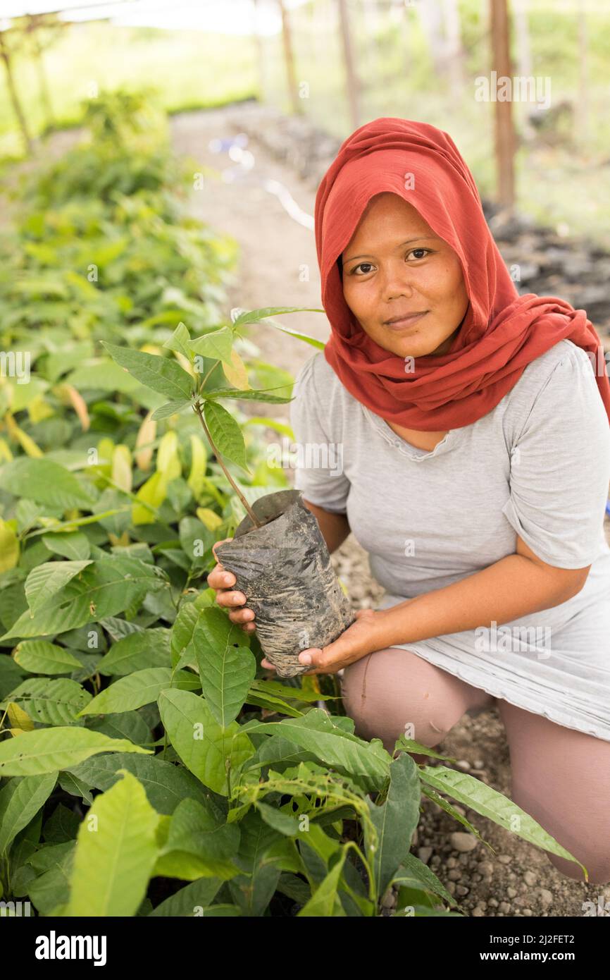 Satriani (35) è un piccolo coltivatore di cacao nella reggenza di Mamuju che ha beneficiato di una formazione agricola nell'ambito del progetto Green Prosperity dell'Indone Foto Stock