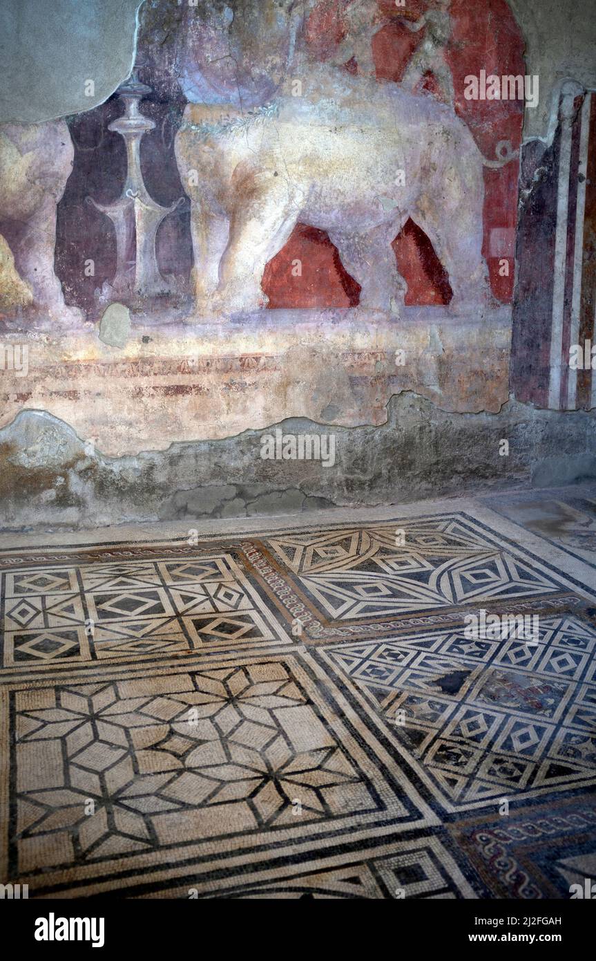 Pavimento in mosaico romano nell'antica città italiana di Pompei Foto Stock