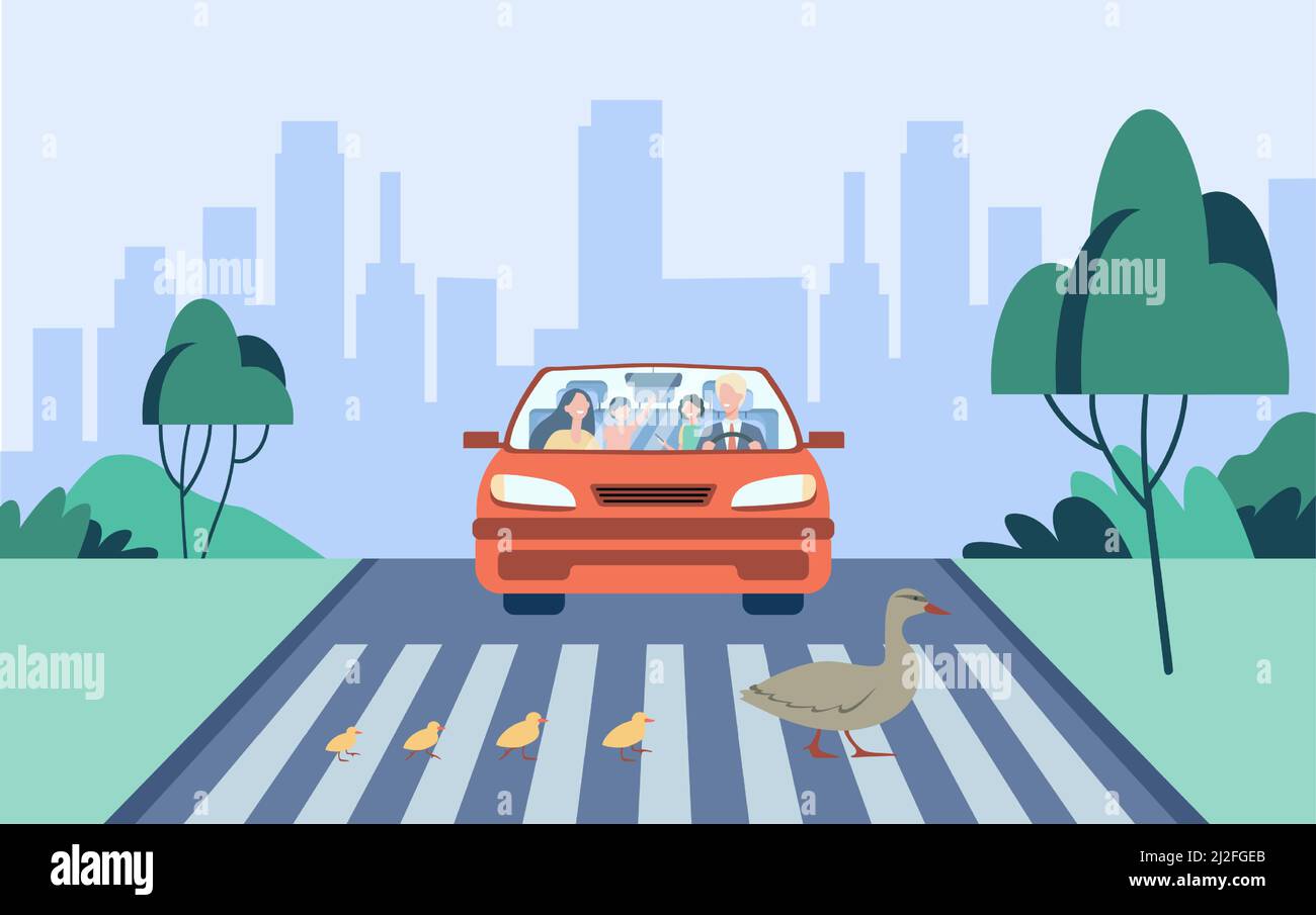 Carino anatra madre con bambini che attraversano la strada. Auto, crocevia, città piatta illustrazione vettoriale. Concetto di uccelli e animali per banner, web design o landi Illustrazione Vettoriale