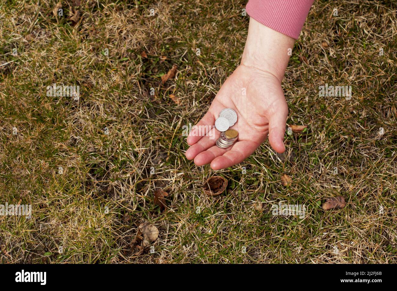 Ultimi soldi per generi alimentari. Monete nelle mani di una donna di mezza età. Il concetto di crisi alimentare mondiale associato alla guerra in Ucraina. Foto Stock