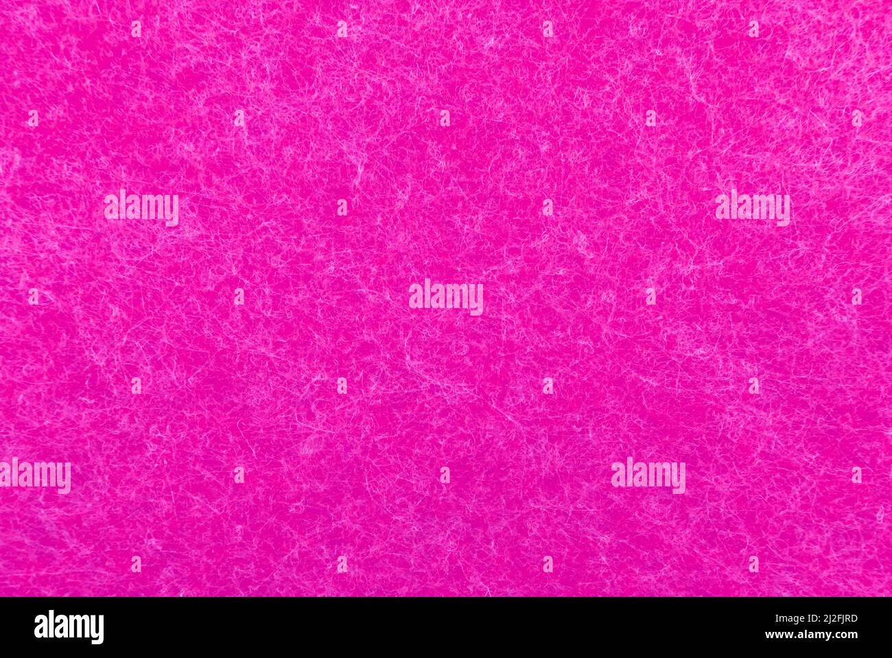 Tessuto viola o viola con sottili fili bianchi. Materiale in feltro rosa caldo Foto Stock
