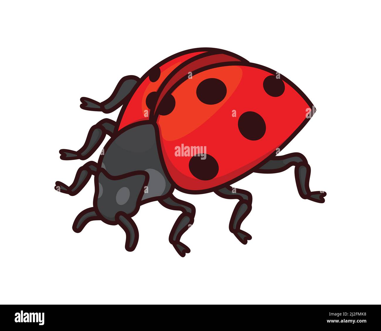 Vettore di illustrazione dettagliato di Ladybug o Ladybird Standing Illustrazione Vettoriale