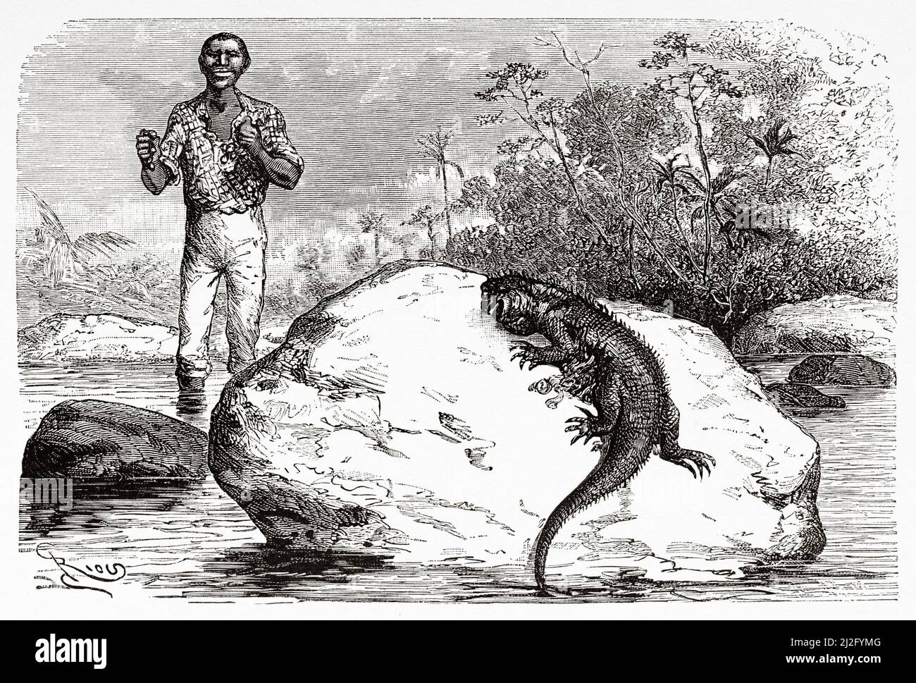 Un'iguana nel fiume orinoco, Venezuela. Sud America. Viaggio di esplorazione attraverso Nuova Granada e Venezuela di Jules Crevaux 1880-1881. Le Tour du Monde 1882 Foto Stock