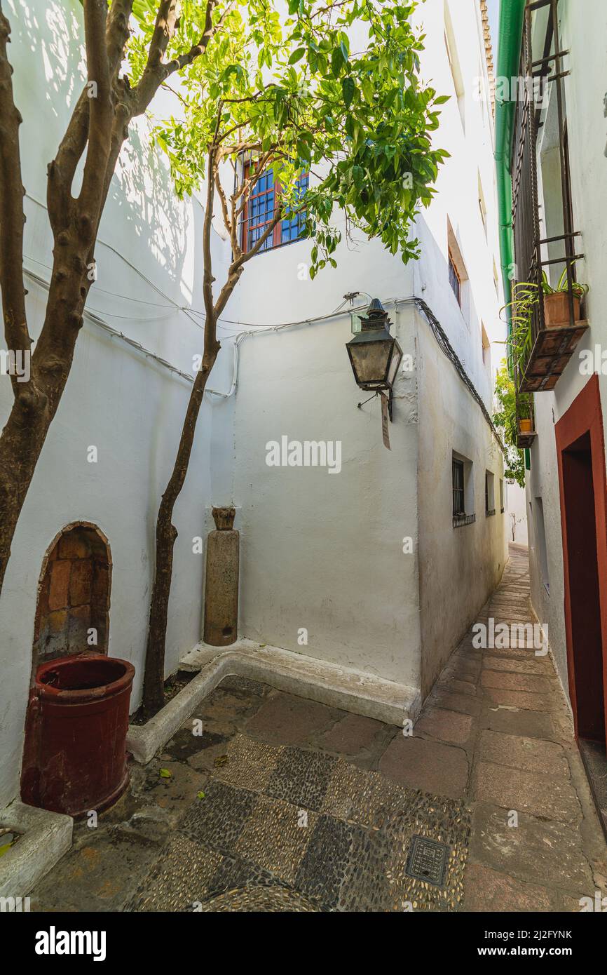 Via nella città di Cordoba, in Andalusia, Spagna Foto Stock