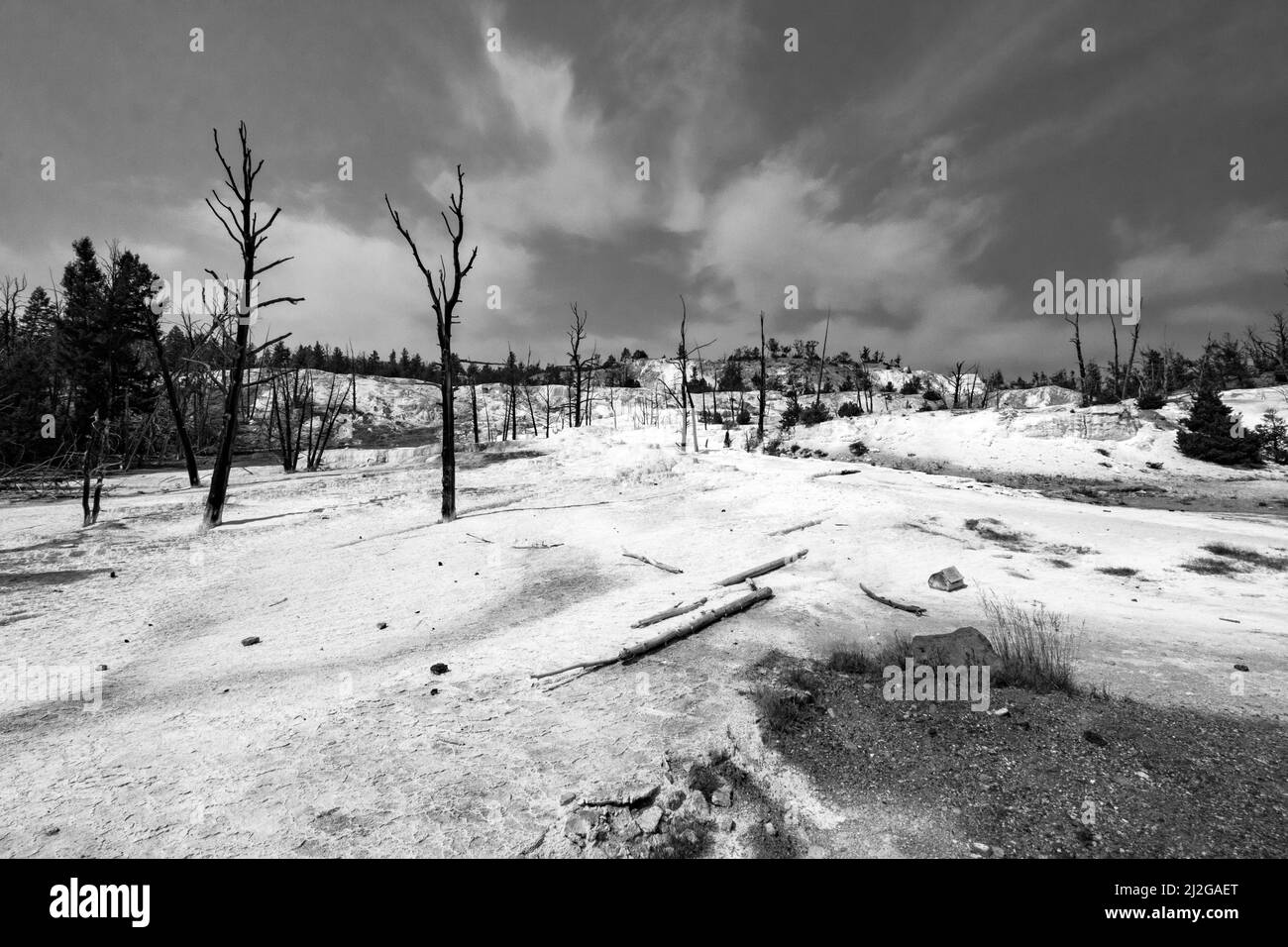 Il sole estivo splende sulle terrazze delle sorgenti termali di Mammoth nel Parco Nazionale di Yellowstone Foto Stock