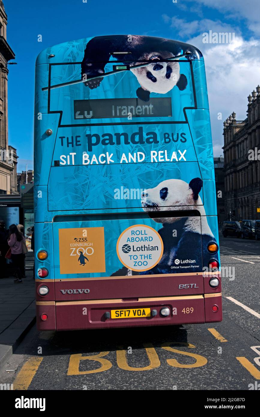 Il Panda Bus, lo Zoo di Edinburgo pubblicita con panda sul retro di un autobus Lothian su Princes Street, Edinburgo, Scozia, Regno Unito. Foto Stock