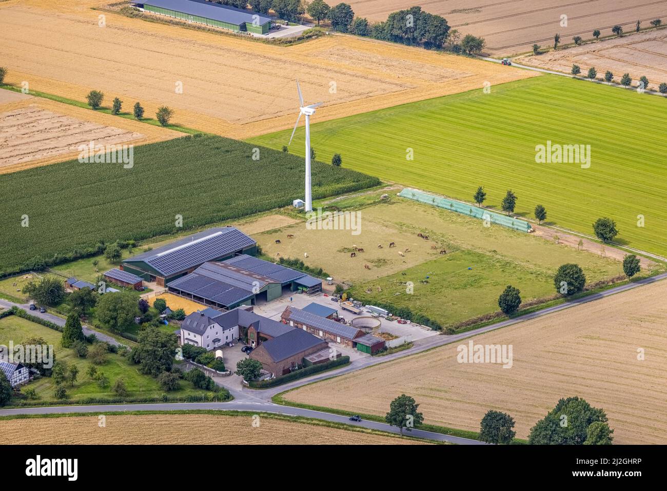 Vista aerea, fattoria ratz rabatz con turbina eolica nel distretto di Ostbüren, Fröndenberg/Ruhr, zona della Ruhr, Renania settentrionale-Vestfalia, Germania, DE, Europa, famiglia Foto Stock