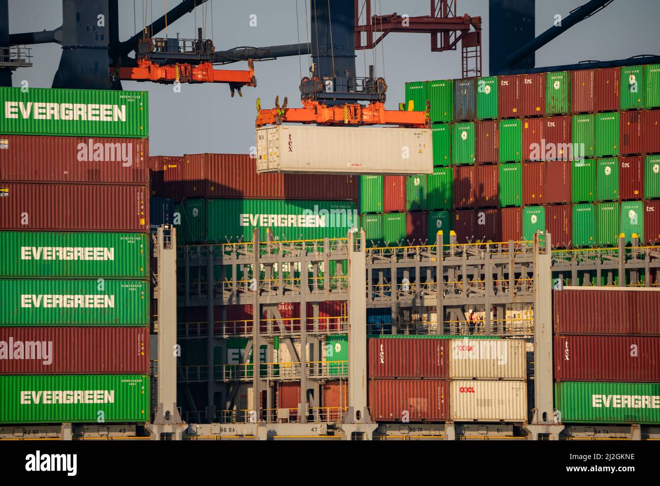 Carico di container nel porto marittimo di Rotterdam, Maasvlakte 2, Container Terminal, a Rotterdam, Paesi Bassi, Foto Stock