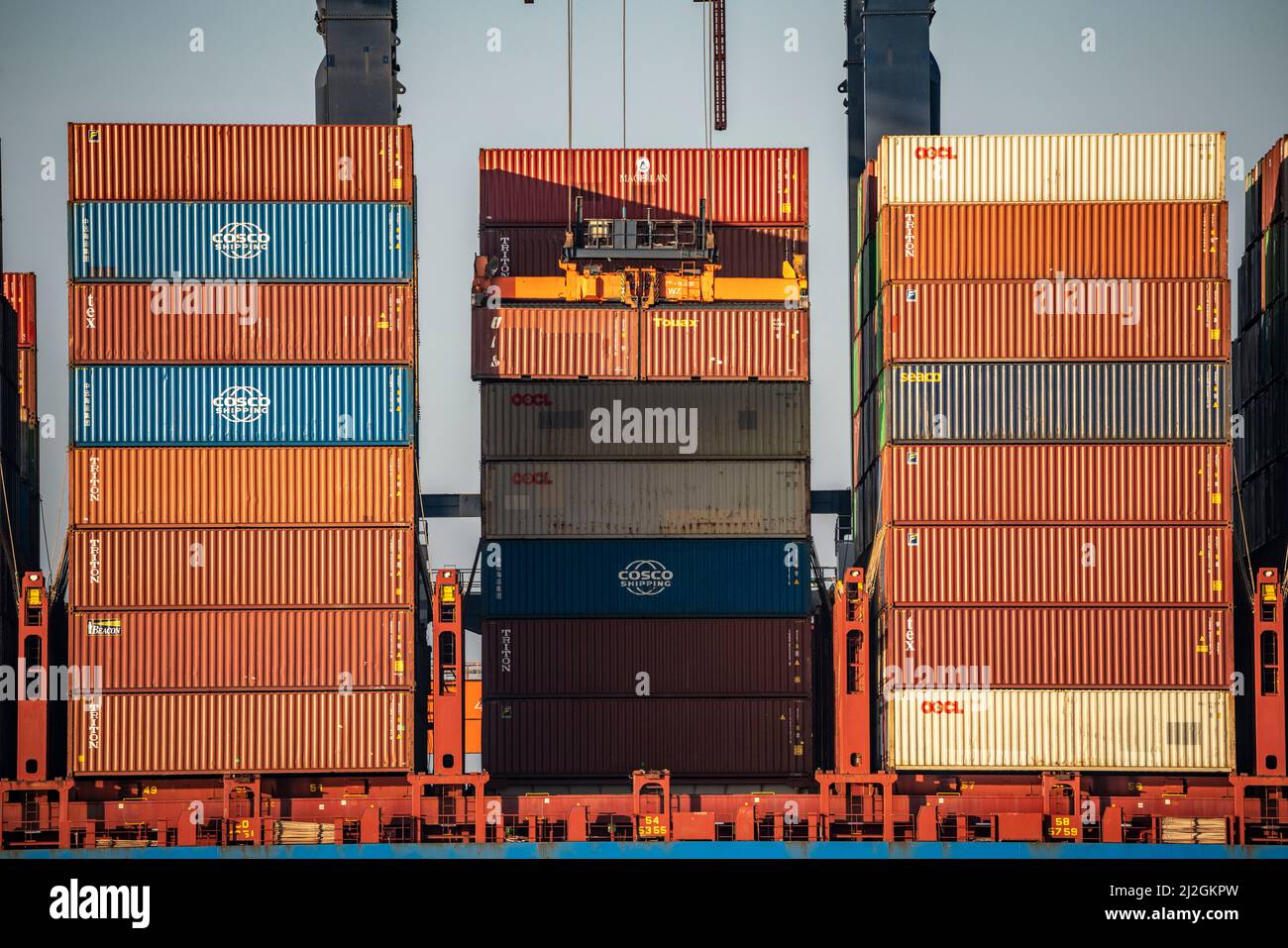 Carico di container nel porto marittimo di Rotterdam, Maasvlakte 2, Container Terminal, a Rotterdam, Paesi Bassi, Foto Stock