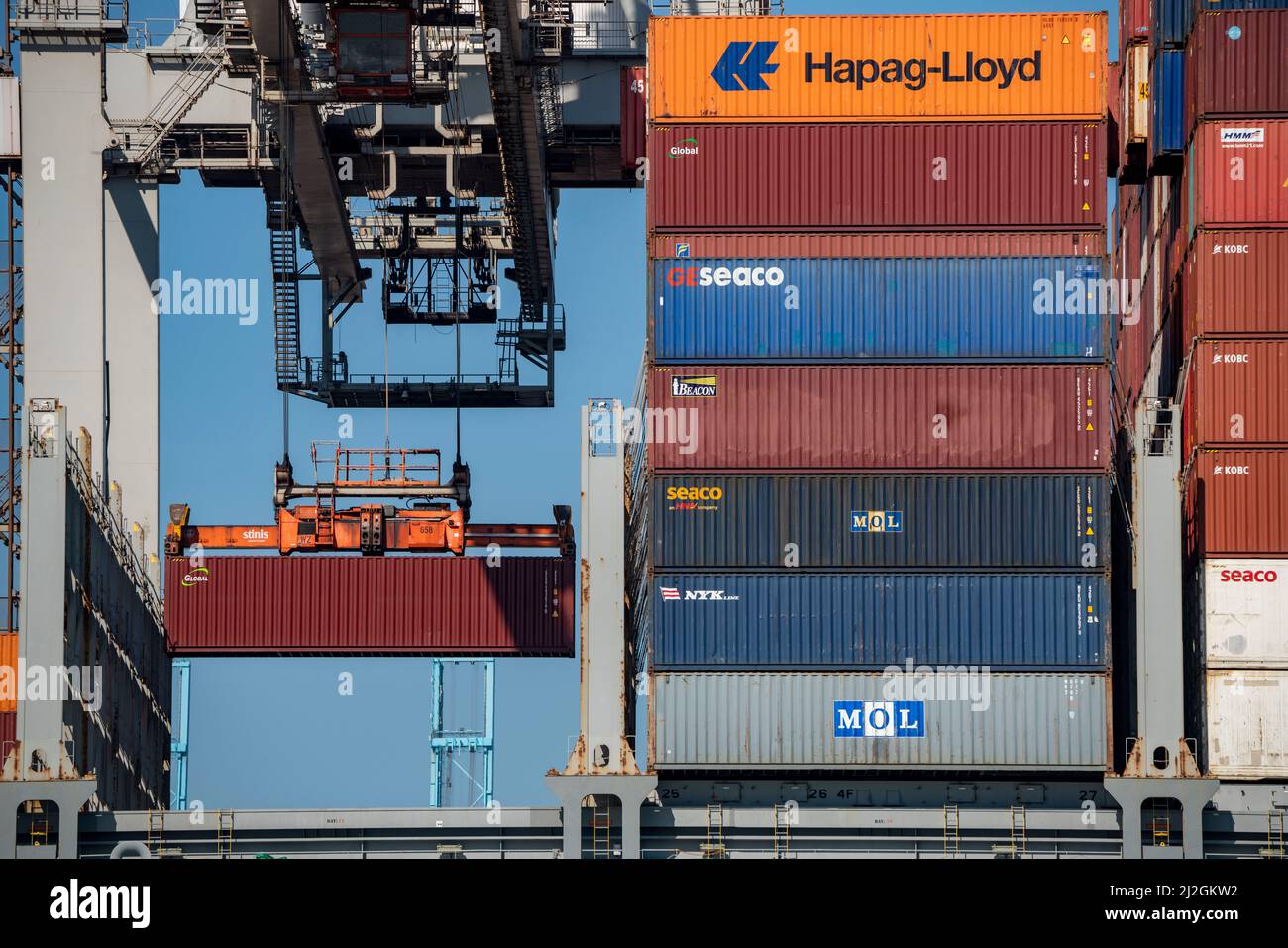 Carico di container nel porto marittimo di Rotterdam, Maasvlakte 2, Container Terminal, a Rotterdam, Paesi Bassi, Foto Stock