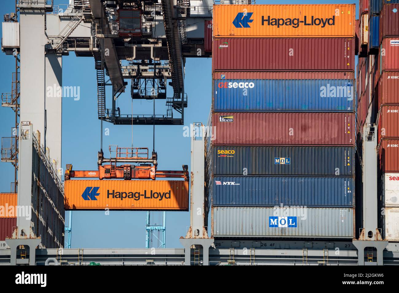 Carico di container nel porto marittimo di Rotterdam, Maasvlakte 2, Container Terminal, a Rotterdam, Paesi Bassi, Foto Stock