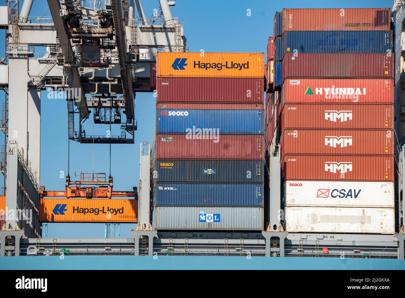 Carico di container nel porto marittimo di Rotterdam, Maasvlakte 2, Container Terminal, a Rotterdam, Paesi Bassi, Foto Stock