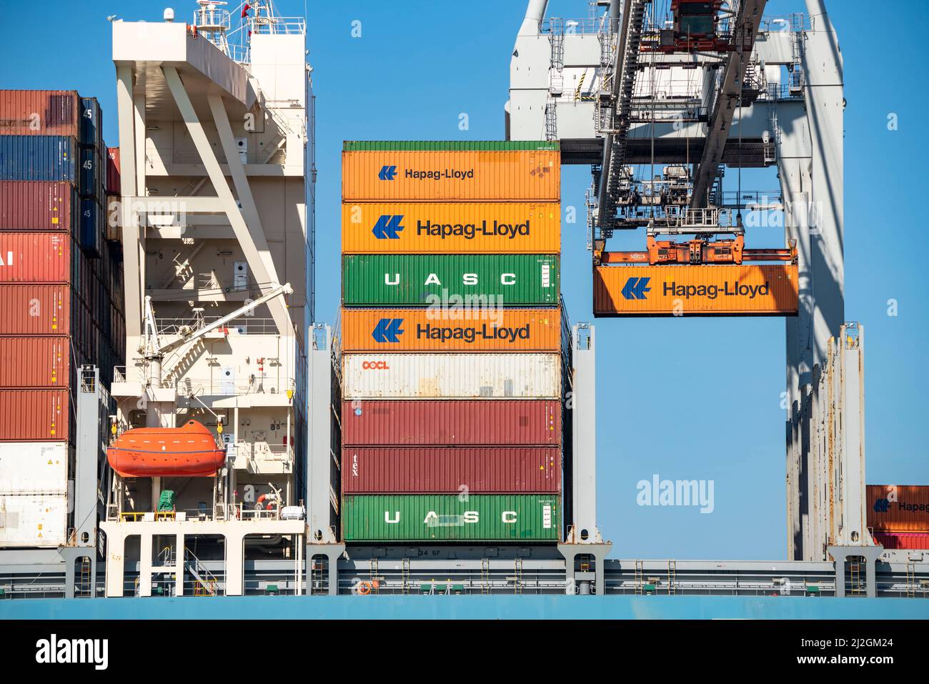 Carico di container nel porto marittimo di Rotterdam, Maasvlakte 2, Container Terminal, a Rotterdam, Paesi Bassi, Foto Stock