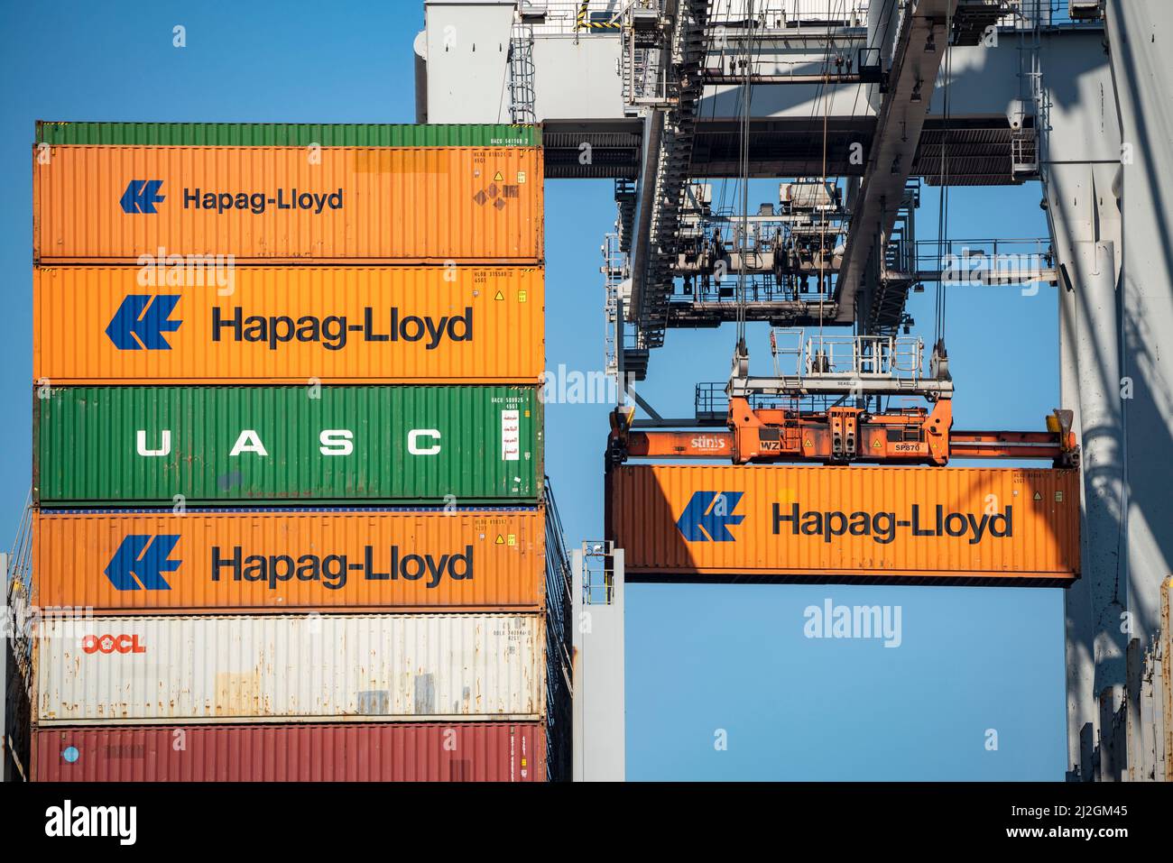 Carico di container nel porto marittimo di Rotterdam, Maasvlakte 2, Container Terminal, a Rotterdam, Paesi Bassi, Foto Stock