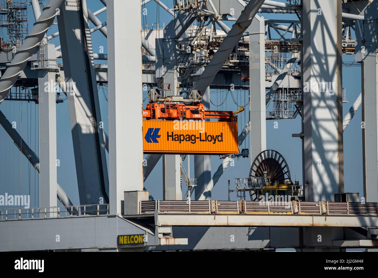 Carico di container nel porto marittimo di Rotterdam, Maasvlakte 2, Container Terminal, a Rotterdam, Paesi Bassi, Foto Stock