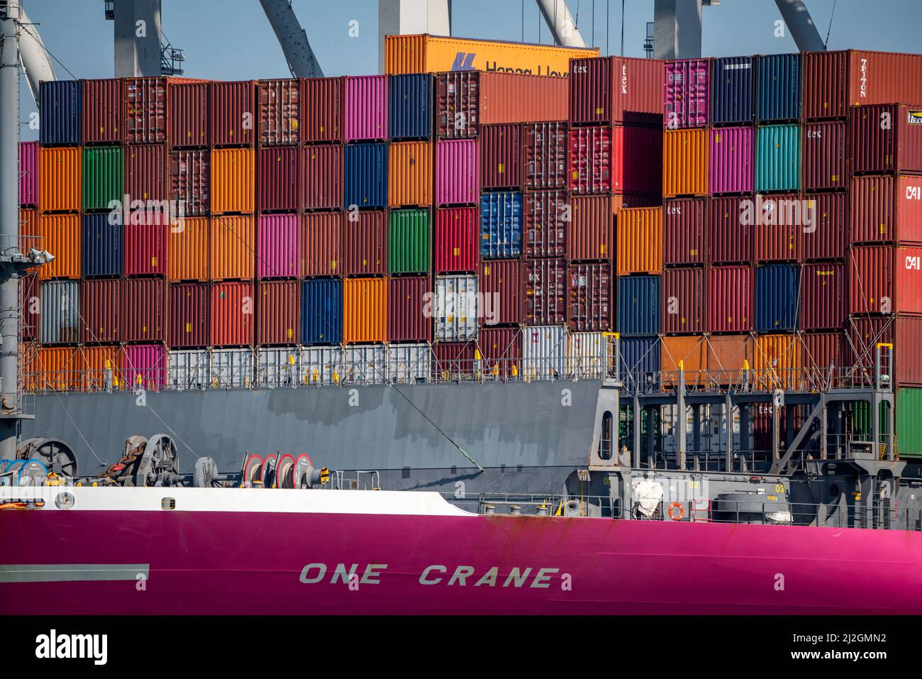 Container su una nave container, nel porto marittimo di Rotterdam, Maasvlakte 2, Container Terminal, a Rotterdam, Paesi Bassi, Foto Stock