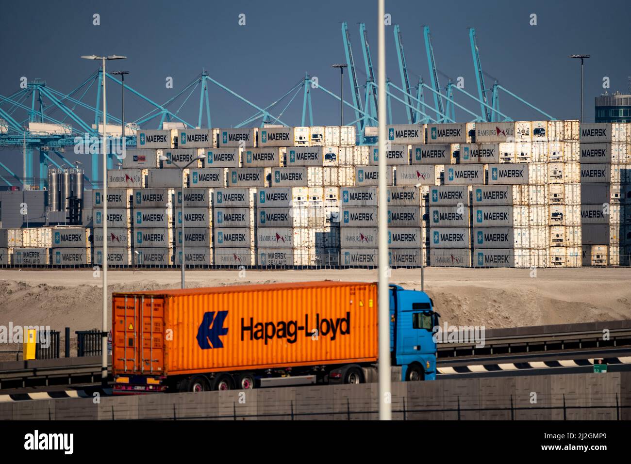 Container nel porto marittimo di Rotterdam, Maasvlakte 2, magazzino dei container di Maersk, terminal dei container, a Rotterdam, Paesi Bassi, Foto Stock
